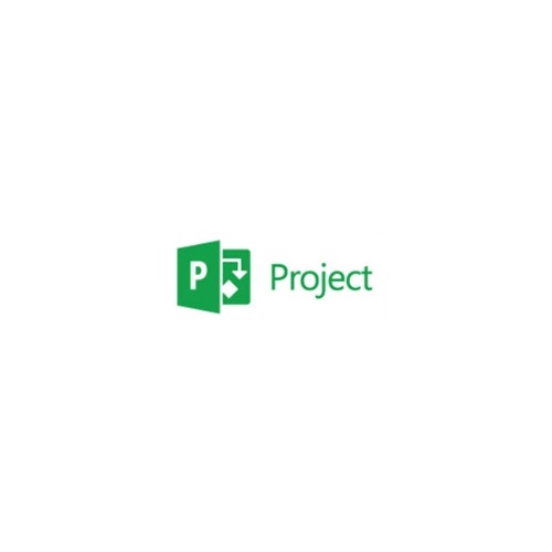 MS PROJECT PRO 2013 32-BIT/X64 ENGLISH INTL DVD